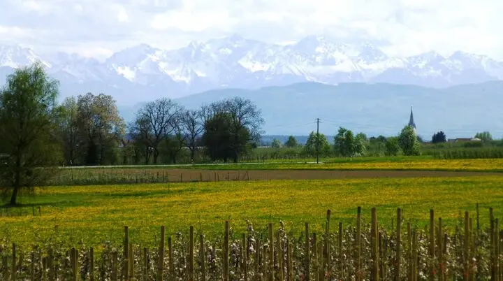  Blick vom Ettenkircher Hochplateau  | © Foto: Rainer Barth / Tourist-Information Friedrichshafen 