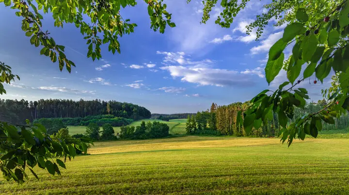 Bermatinger Waldwiesen -58-HDR.jpg© Florian fahlenbock | © www.gehrenberg-bodensee.de © Florian fahlenbock