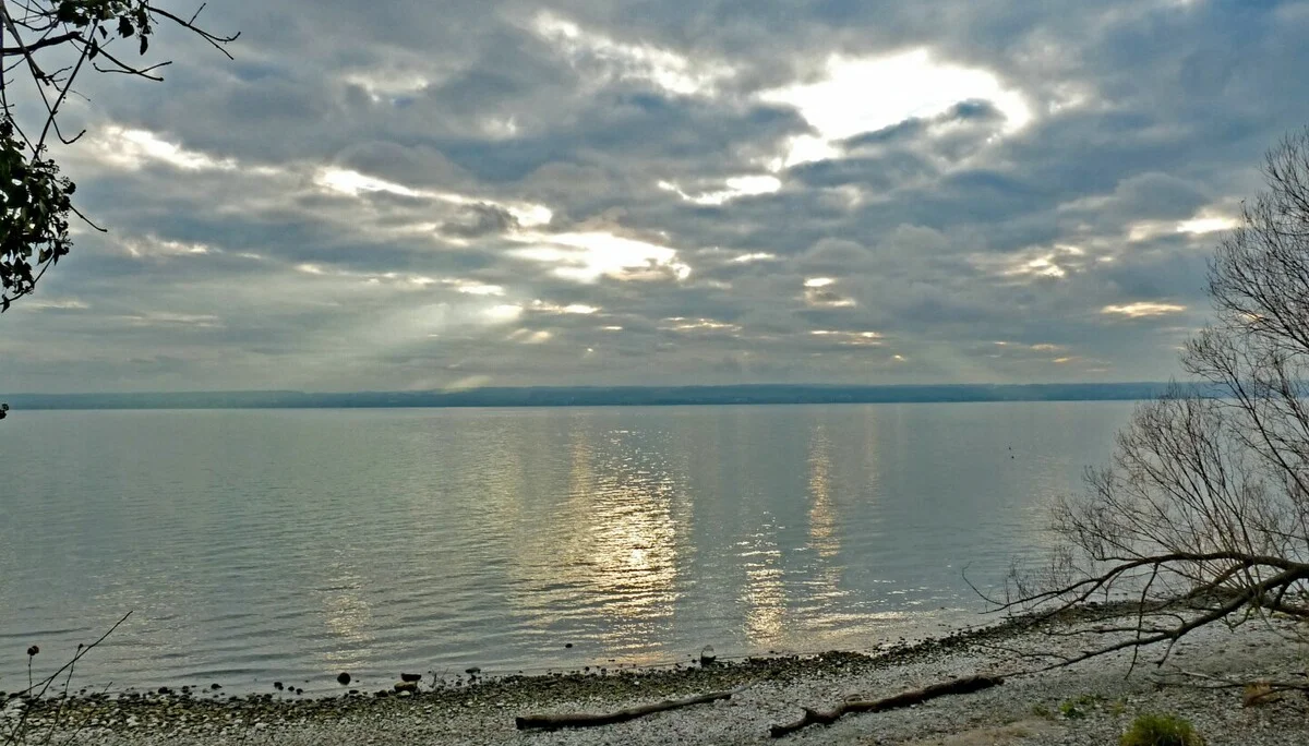 Bodenseeufer | © DAV-FN / E. Fischer