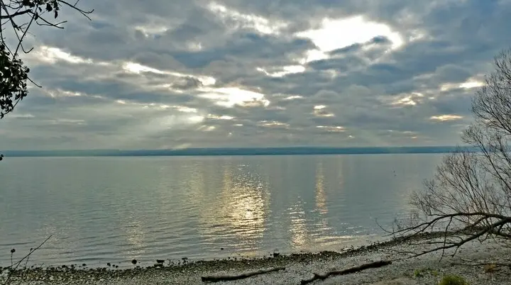 Bodenseeufer | © DAV-FN / E. Fischer