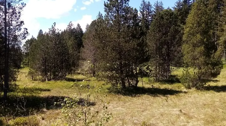 Ochsenkopf | © DAV-FN / B. Borgfeld