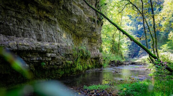 Felsengalerie in der Wutachschlucht | © © Ferienregion Wutachschlucht  -  www.wutachschlucht.de
