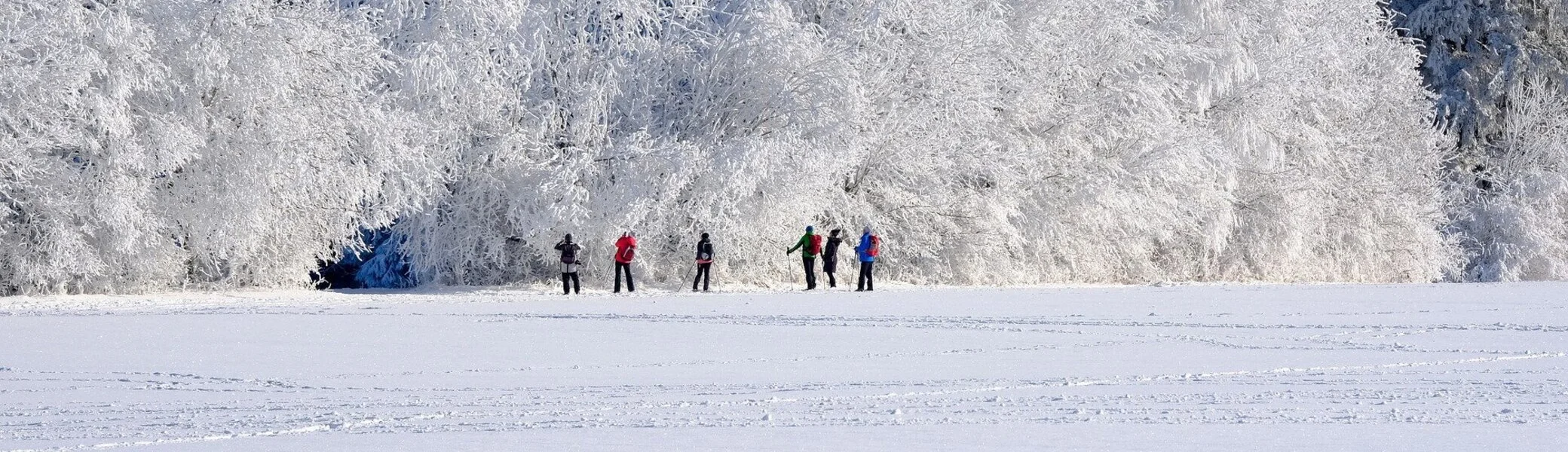 Winter | © Nicky auf Pixabay