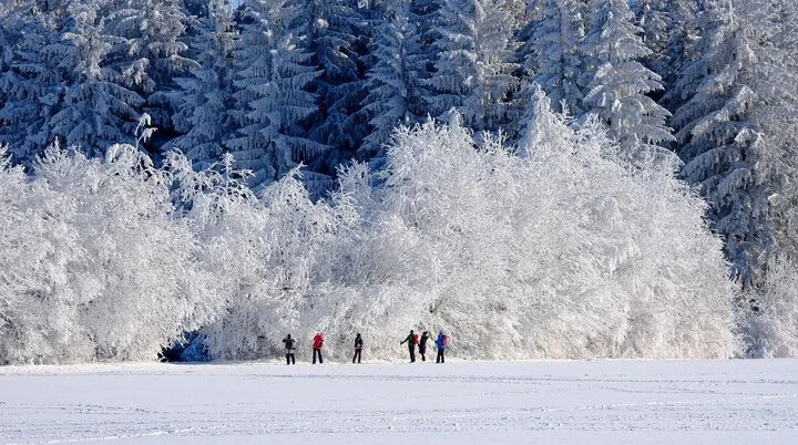 Winter | © Nicky auf Pixabay