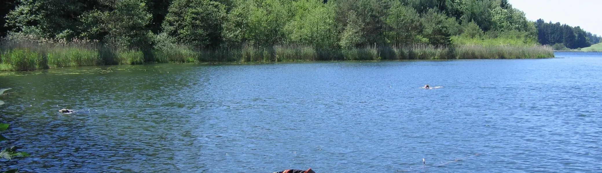 Ein Schwimmer im Degersee | © By ANKAWÜ (Own work), CC BY-SA, via Wikimedia Commons 