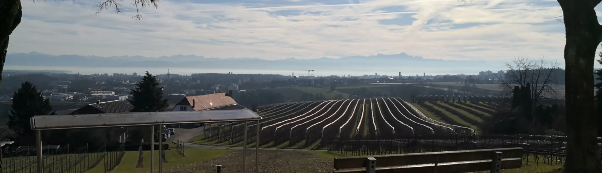Bank auf einem Hügel mit Blick auf eine Landschaft aus Reben und einer Stadt im Hintergrund unter einem bewölkten Himmel | © © Tourist-Information Friedrichshafen · Melanie Raßmann · CC BY-SA