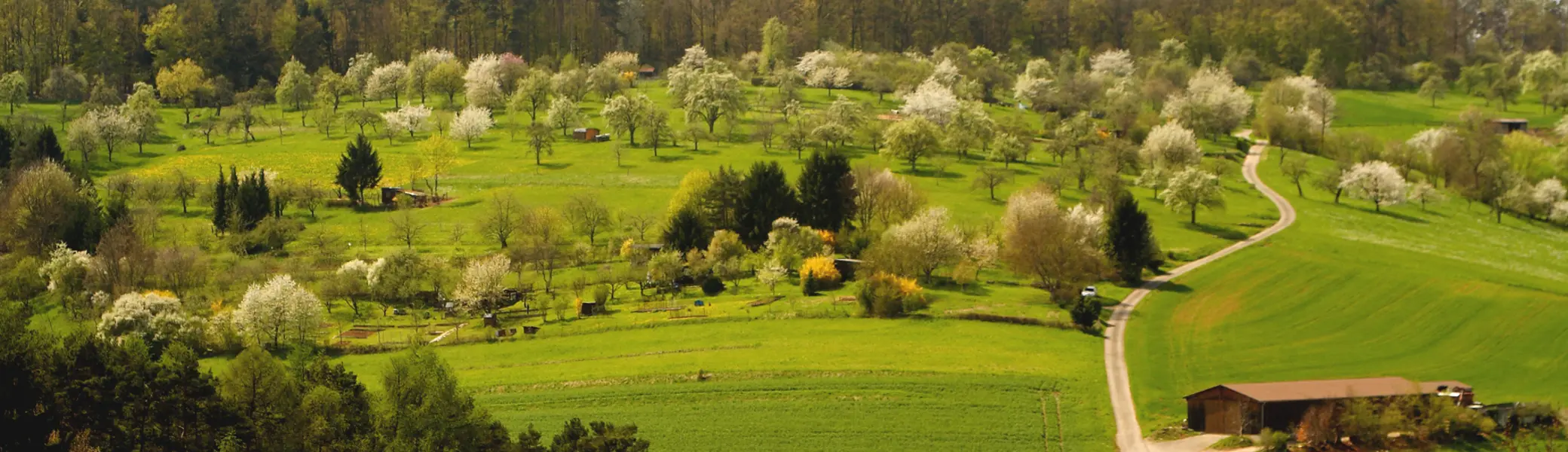 Landschaft mit grünen Wiesen, blühenden Bäumen und einem kleinen Holzgebäude neben einem geschwungenen Weg | © Von ulrichstill - see author, CC BY-SA 2.0 de, httpscommons.wikimedia.orgwindex.phpcurid=4006873