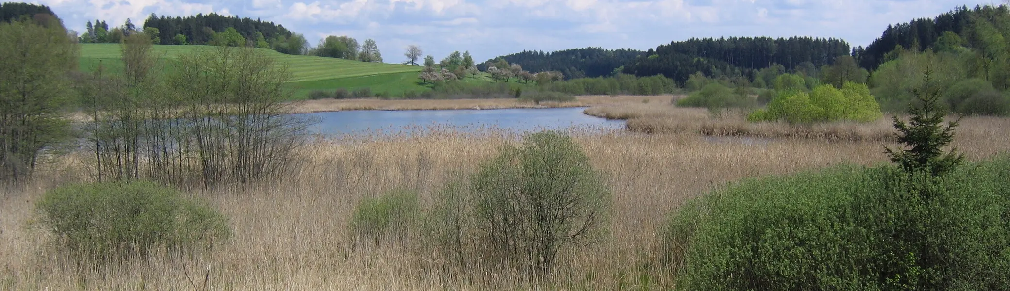 Landschaft mit Wiese, Schilf, einem kleinen See und bewaldeten Hügeln unter blauem Himmel mit Wolken | © Von ANKAWÜ