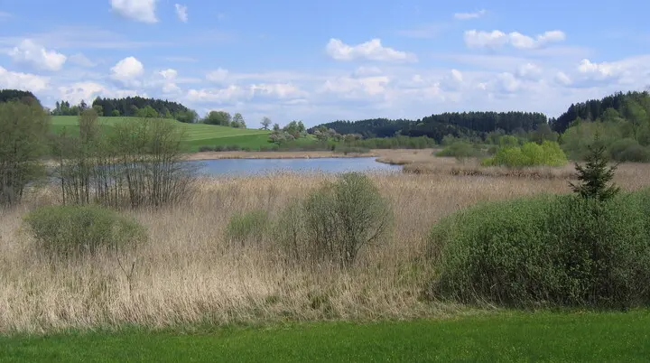 Landschaft mit Wiese, Schilf, einem kleinen See und bewaldeten Hügeln unter blauem Himmel mit Wolken | © Von ANKAWÜ