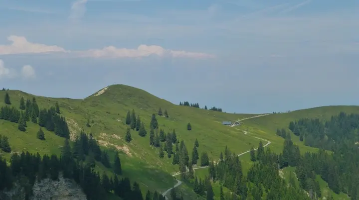 Grüne Berglandschaft mit Nadelbäumen und einem gewundenen Pfad unter blauem Himmel mit wenigen Wolken | © Von Reinhard Müller - Eigenes Werk, CC BY-SA 3.0, https://commons.wikimedia.org/w/index.php?curid=33481654