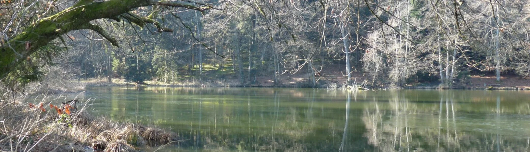 Oberreitnau | © DAV-FN / E. Fischer