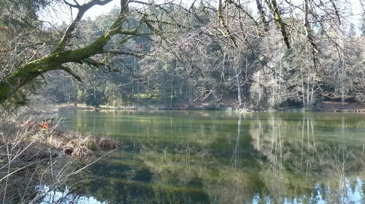 Oberreitnau | © DAV-FN / E. Fischer