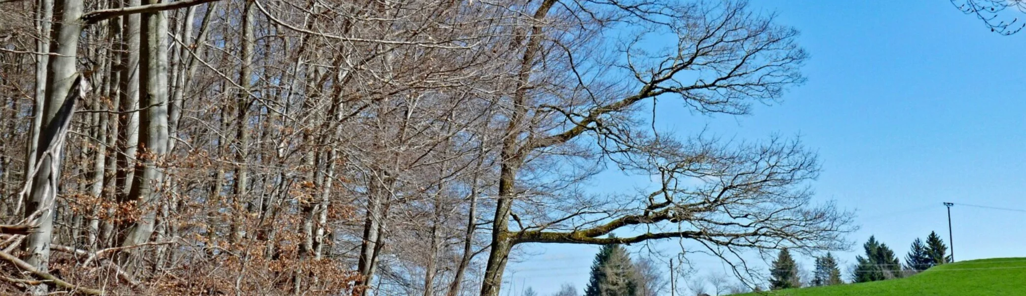 Ratzenried | © DAV-FN / W. Allies