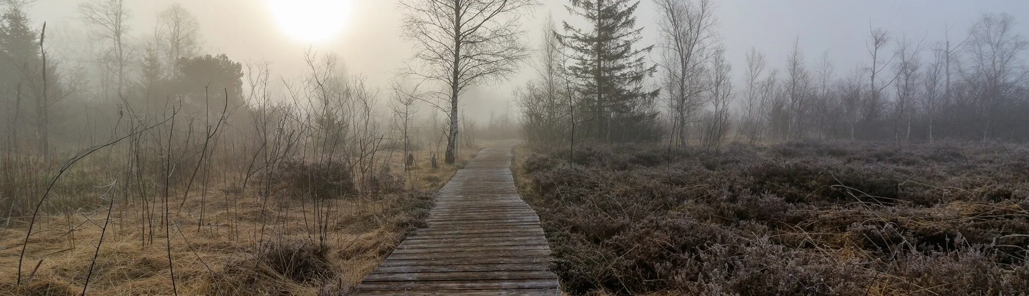 © Bild von Heiko Stein auf Pixabay