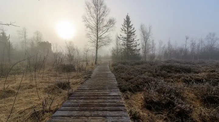 © Bild von Heiko Stein auf Pixabay