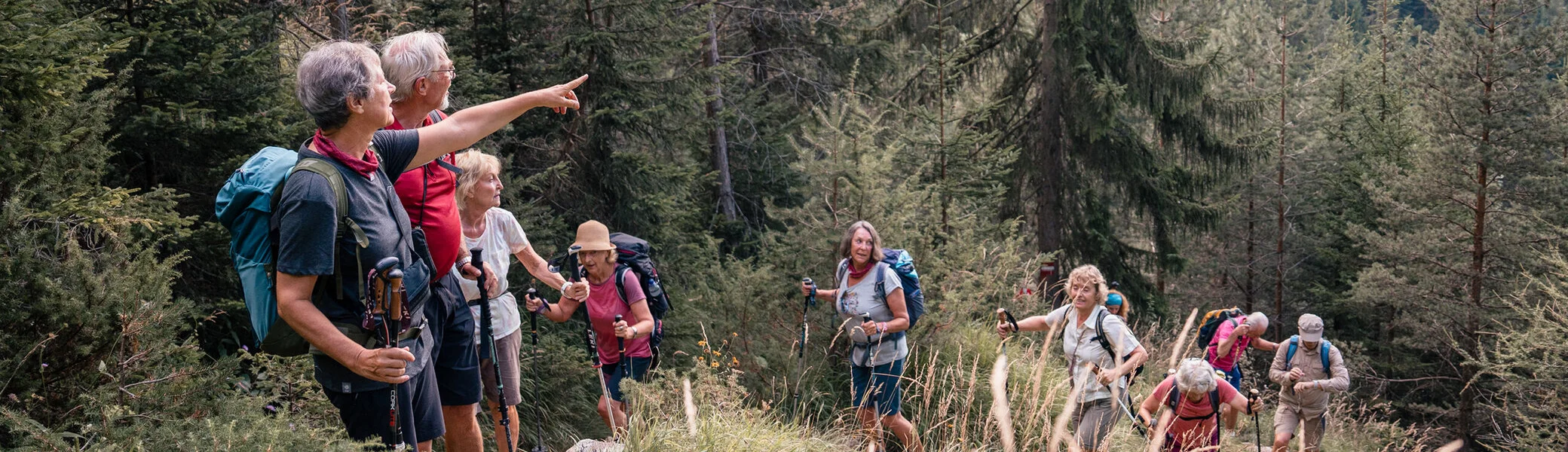 Senioren wandern einen Berpfad im lichten Wald bergauf | © DAV / Marisa Koch