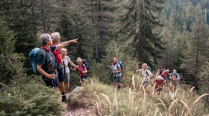 Senioren wandern einen Berpfad im lichten Wald bergauf | © DAV / Marisa Koch