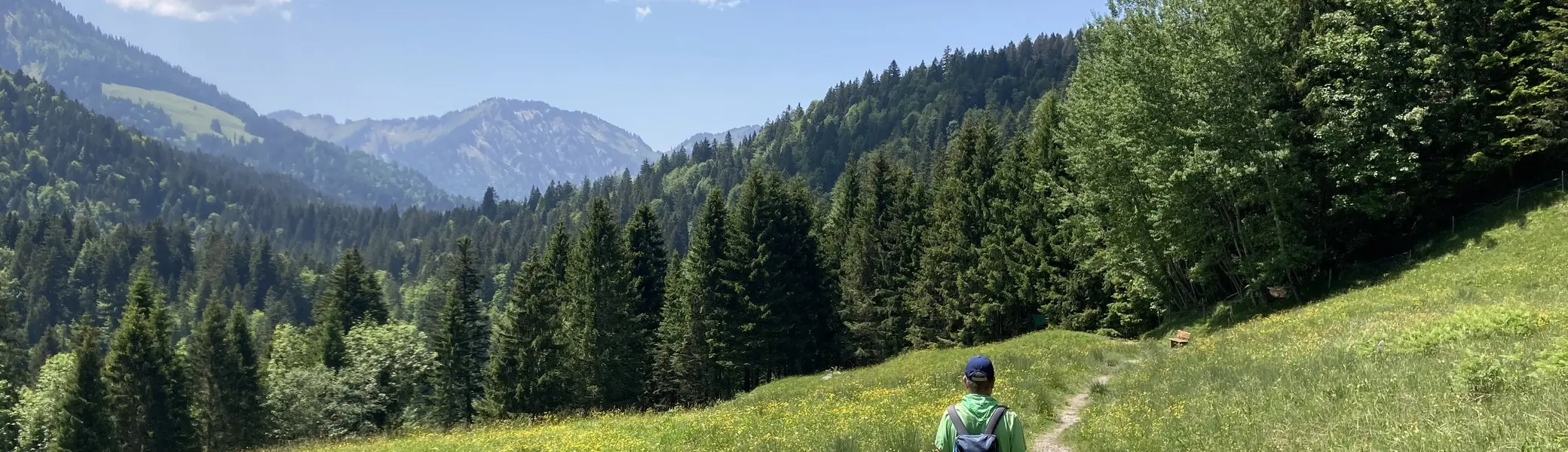Sattelalpe Richtung Niedere | © Peter Wahl