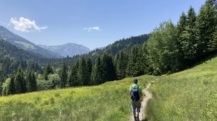 Sattelalpe Richtung Niedere | © Peter Wahl