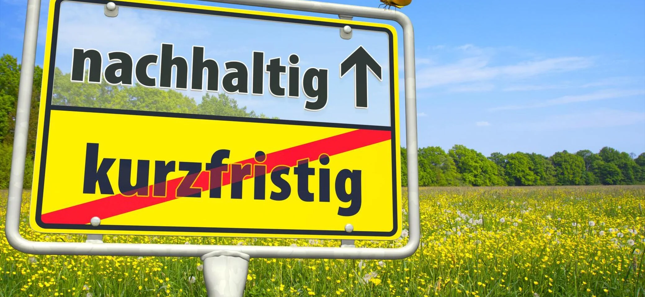 © DAV-FN / Umweltgruppe