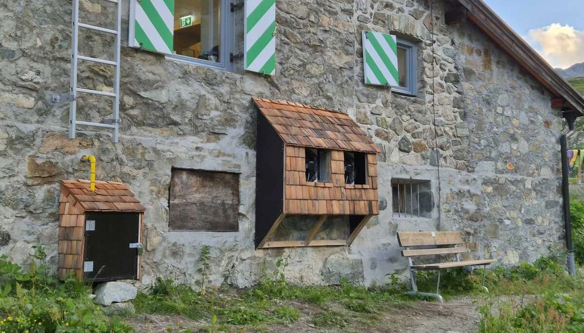 Außenwand der Häfler Hütte mit zwei Fenstern, eines mit grün-weiß gestreiften Fensterläden, darunter zwei kleine Holzkästen mit Schindelverkleidung und eine Holzbank | © DAV-FN / R. Klees o. R. Zahner