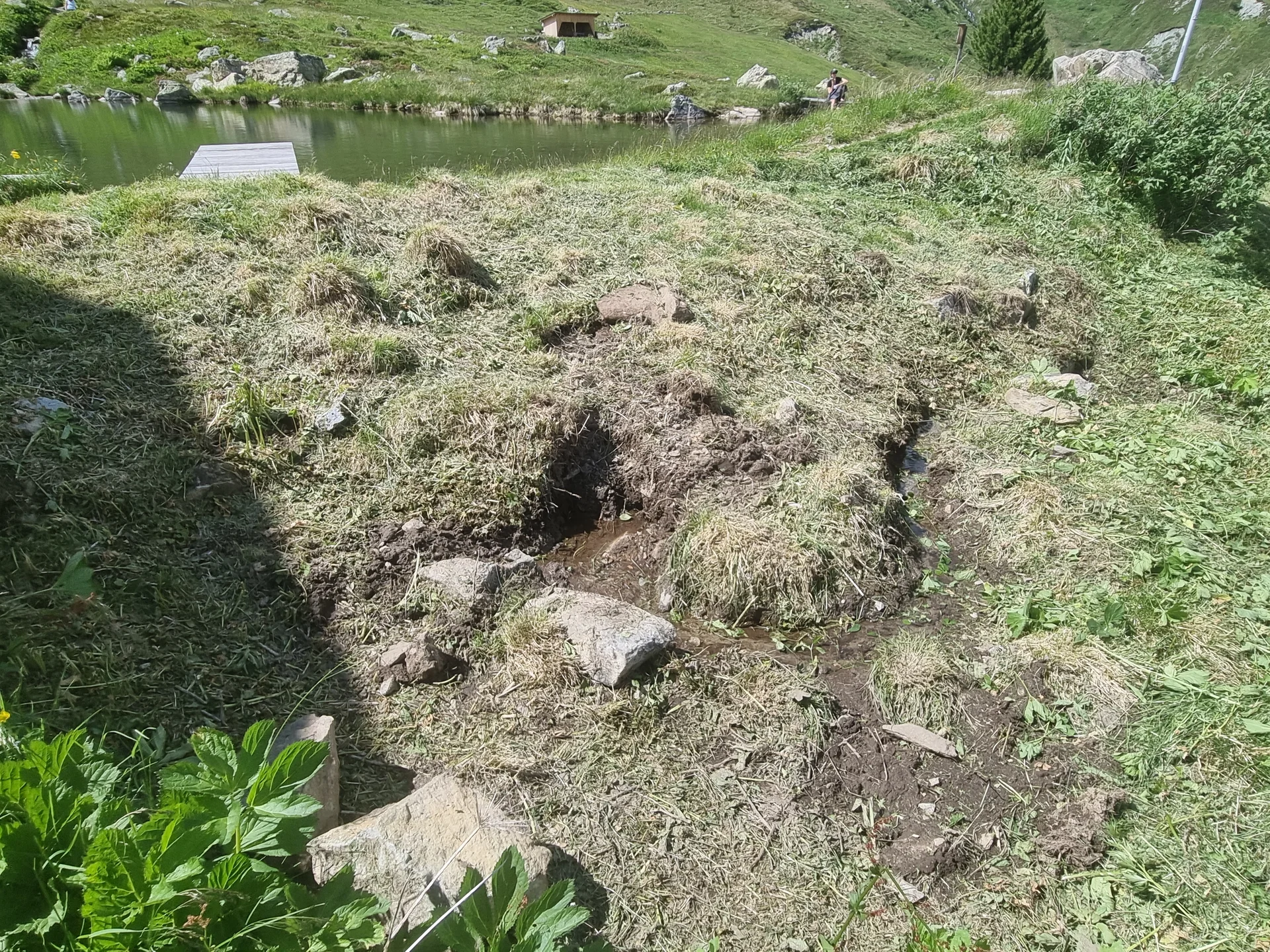 Boden mit feuchtem, unebenem Gras und kleinen Wasserläufen vor einem See in einer Berglandschaft | © DAV-FN / R. Klees o. R. Zahner