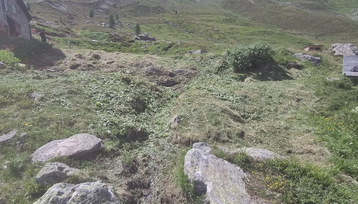 Hangrodung auf einer Bergwiese mit Felsbrocken, im Hintergrund Berge und die Häfler Hütte | © DAV-FN / R. Klees o. R. Zahner