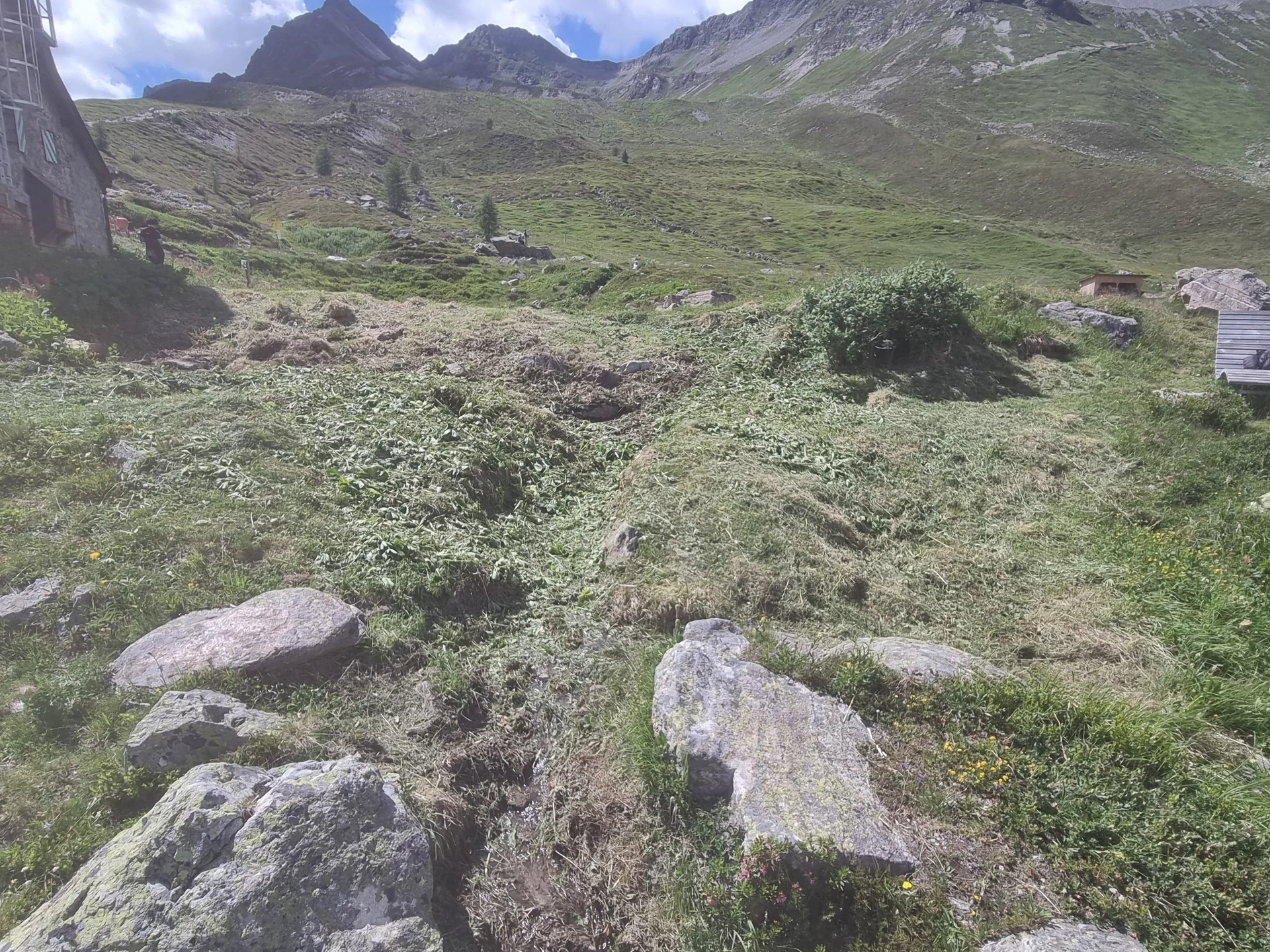 Hangrodung auf einer Bergwiese mit Felsbrocken, im Hintergrund Berge und die Häfler Hütte | © DAV-FN / R. Klees o. R. Zahner