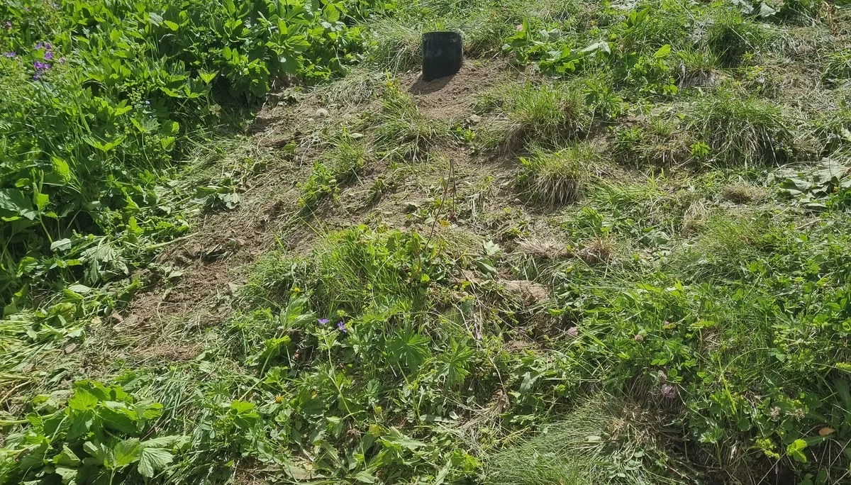 Hang mit frischem Erdreich und drei schwarzen Rohren als Zaun-Fundament, im Hintergrund die Häfler Hütte | © DAV-FN / R. Klees o. R. Zahner