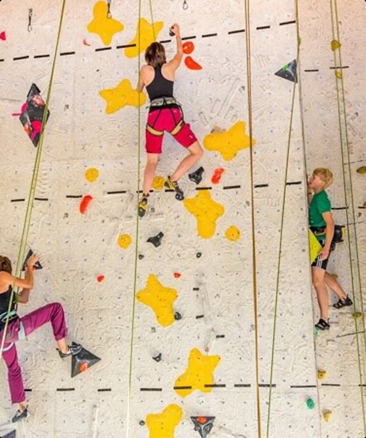 © DAV-FN / Kletterzentrum