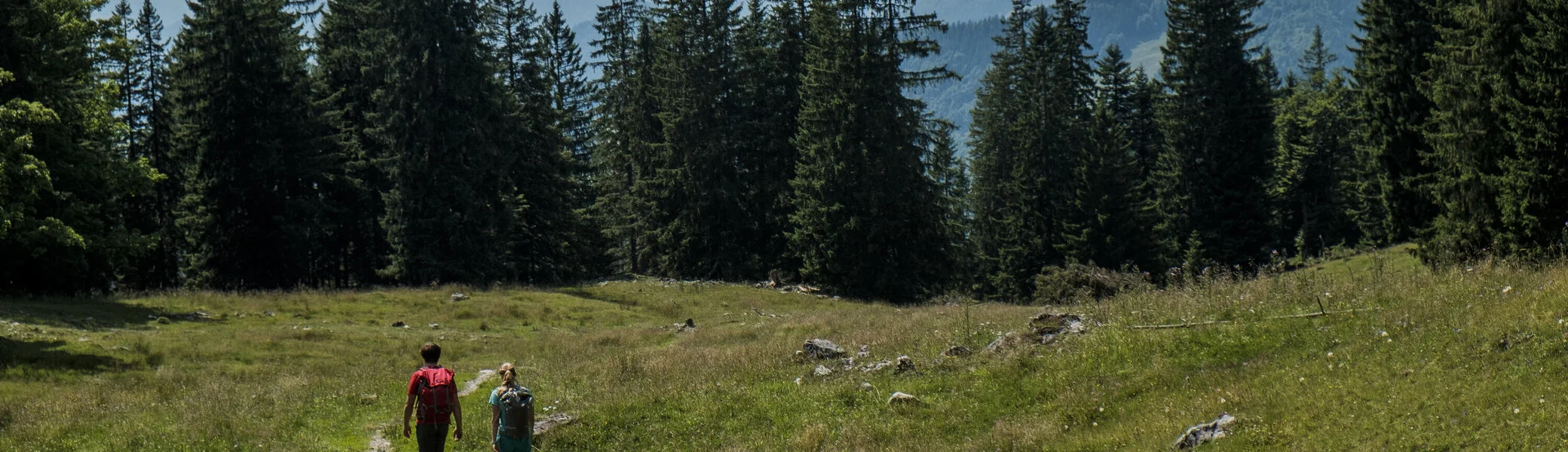 Zwei Wanderer auf einem Bergpfad in den Chiemgauer Alpen | © DAV/Hans Herbig