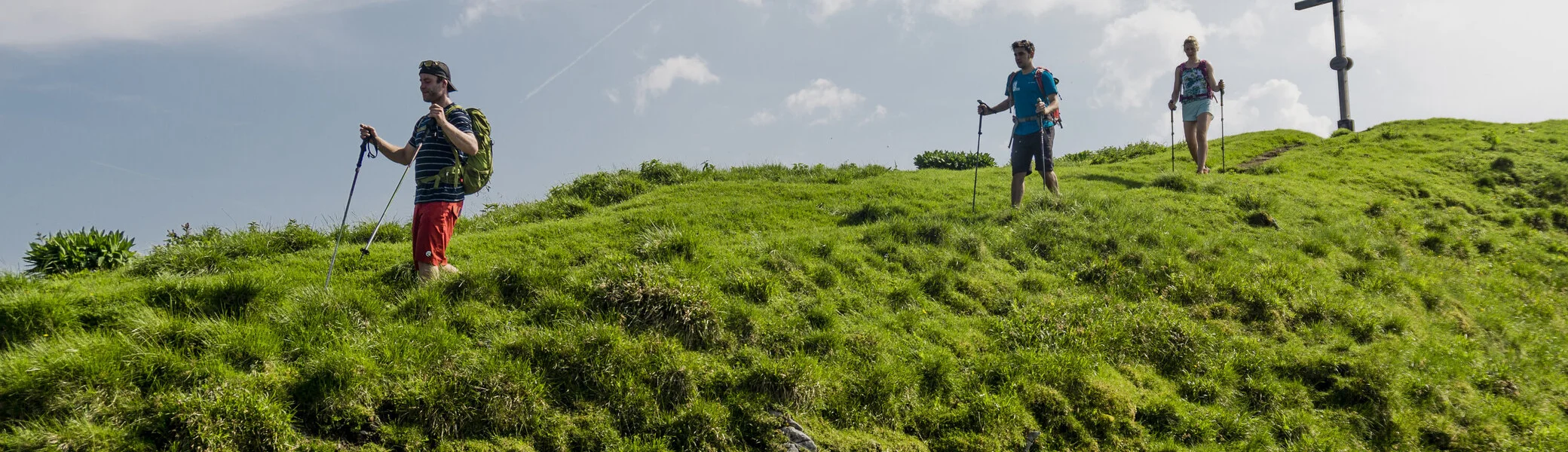 Drei Wanderer auf den grünen Berghängen der Chiemgauer Alpen | © DAV/Hans Herbig