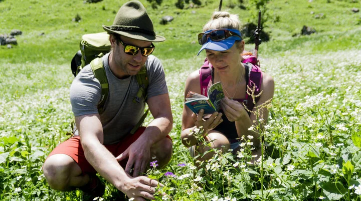 Zwei Wanderer hocken in einer Frühlingswiese und genießen die Alpenblumen | © DAV/Hans Herbig